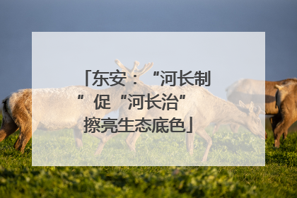 东安：“河长制”促“河长治” 擦亮生态底色