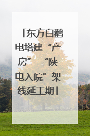 东方白鹳电塔建“产房” “陕电入皖”架线延工期