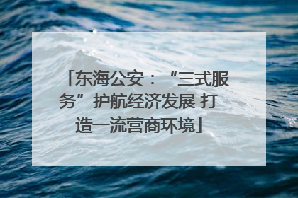 东海公安：“三式服务”护航经济发展 打造一流营商环境