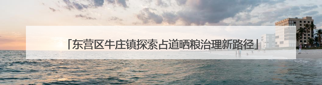 东营区牛庄镇探索占道晒粮治理新路径