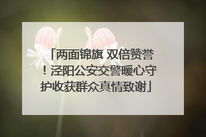 两面锦旗 双倍赞誉！泾阳公安交警暖心守护收获群众真情致谢