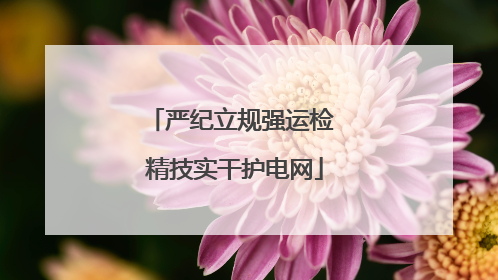 严纪立规强运检 精技实干护电网