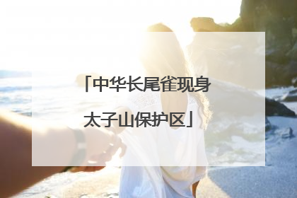 中华长尾雀现身太子山保护区