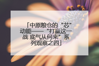 中原粮仓的“芯”动能——“打赢这一战 底气从何来”系列观察之四
