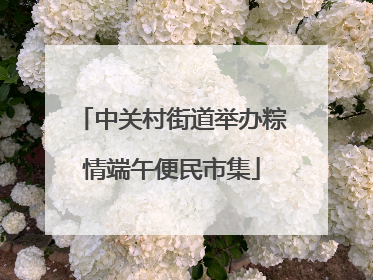 中关村街道举办粽情端午便民市集