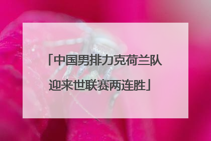 中国男排力克荷兰队 迎来世联赛两连胜