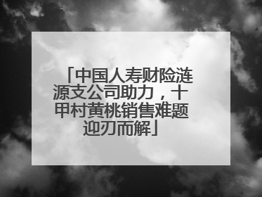 中国人寿财险涟源支公司助力，十甲村黄桃销售难题迎刃而解