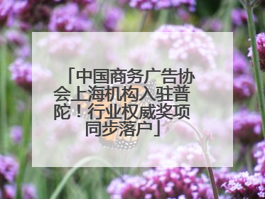 中国商务广告协会上海机构入驻普陀！行业权威奖项同步落户