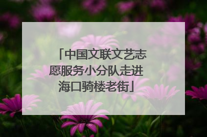 中国文联文艺志愿服务小分队走进海口骑楼老街