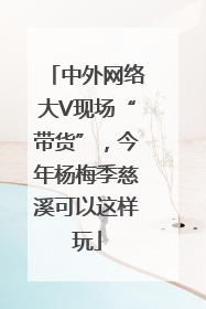 中外网络大V现场“带货”，今年杨梅季慈溪可以这样玩