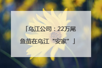 乌江公司：22万尾鱼苗在乌江“安家”