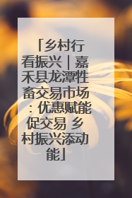 乡村行 看振兴｜嘉禾县龙潭牲畜交易市场：优惠赋能促交易 乡村振兴添动能