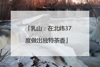 乳山：在北纬37度做出独特茶香