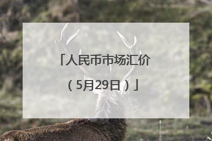 人民币市场汇价（5月29日）