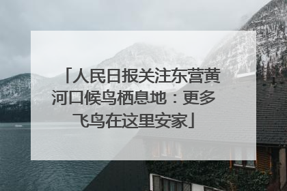 人民日报关注东营黄河口候鸟栖息地：更多飞鸟在这里安家