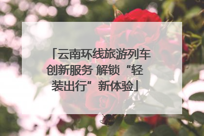 云南环线旅游列车创新服务 解锁“轻装出行”新体验