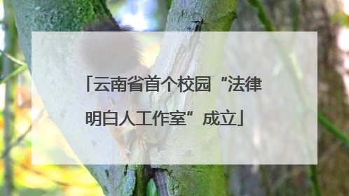 云南省首个校园“法律明白人工作室”成立
