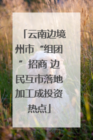 云南边境州市“组团”招商 边民互市落地加工成投资热点