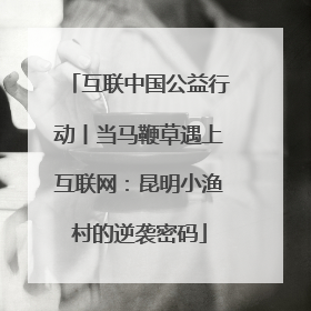 互联中国公益行动丨当马鞭草遇上互联网:昆明小渔村的逆袭密码