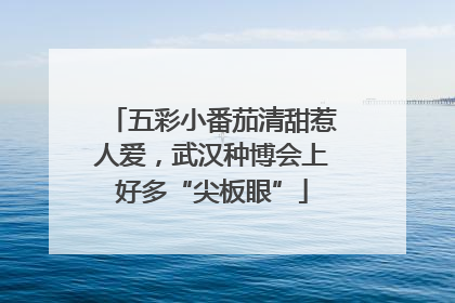 五彩小番茄清甜惹人爱，武汉种博会上好多“尖板眼”
