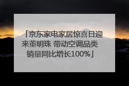 京东家电家居惊喜日迎来董明珠 带动空调品类销量同比增长100%