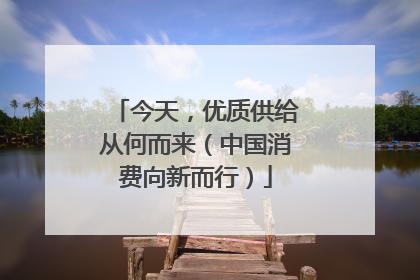 今天，优质供给从何而来（中国消费向新而行）