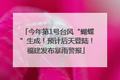 今年第1号台风“蝴蝶”生成！预计后天登陆！福建发布暴雨警报