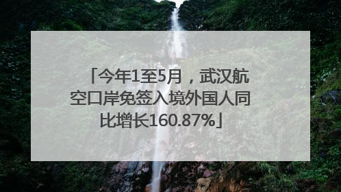 今年1至5月，武汉航空口岸免签入境外国人同比增长160.87%