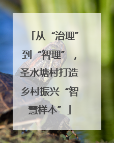 从“治理”到“智理”，圣水塘村打造乡村振兴“智慧样本”