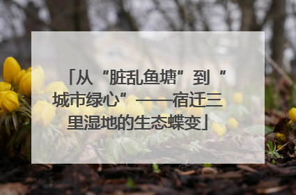 从“脏乱鱼塘”到“城市绿心”——宿迁三里湿地的生态蝶变