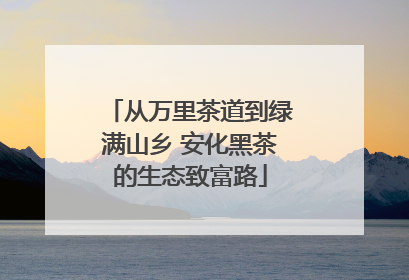 从万里茶道到绿满山乡 安化黑茶的生态致富路