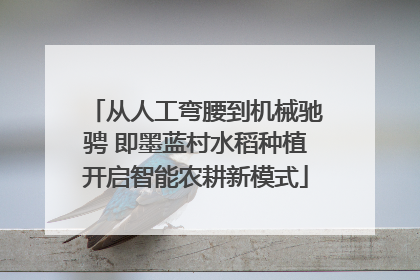 从人工弯腰到机械驰骋 即墨蓝村水稻种植开启智能农耕新模式