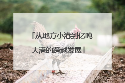 从地方小港到亿吨大港的跨越发展