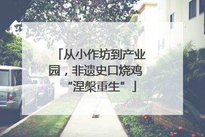 从小作坊到产业园，非遗史口烧鸡“涅槃重生”