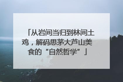 从岩间当归到林间土鸡，解码思茅大芦山美食的“自然哲学”