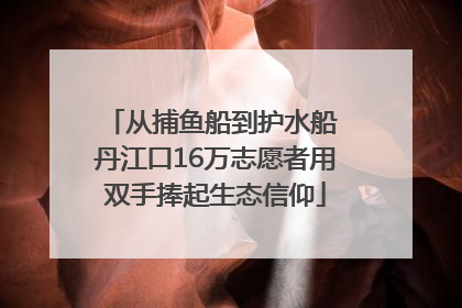 从捕鱼船到护水船 丹江口16万志愿者用双手捧起生态信仰
