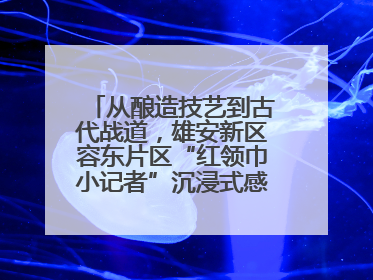 从酿造技艺到古代战道，雄安新区容东片区“红领巾小记者”沉浸式感受历史韵味