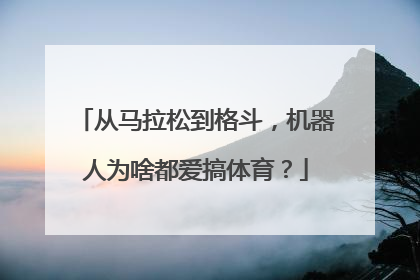 从马拉松到格斗，机器人为啥都爱搞体育？