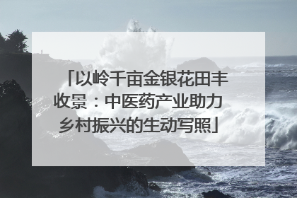 以岭千亩金银花田丰收景：中医药产业助力乡村振兴的生动写照