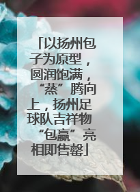 以扬州包子为原型，圆润饱满，“蒸”腾向上，扬州足球队吉祥物“包赢”亮相即售罄