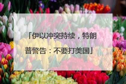 伊以冲突持续，特朗普警告：不要打美国