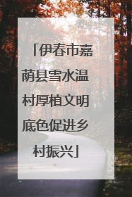 伊春市嘉荫县雪水温村厚植文明底色促进乡村振兴