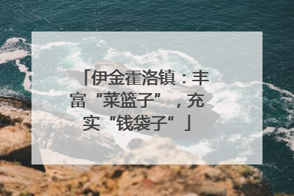 伊金霍洛镇：丰富“菜篮子”，充实“钱袋子”