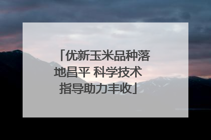 优新玉米品种落地昌平 科学技术指导助力丰收