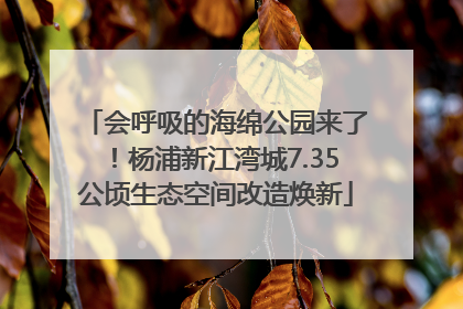 会呼吸的海绵公园来了！杨浦新江湾城7.35公顷生态空间改造焕新