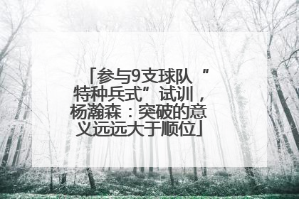 参与9支球队“特种兵式”试训，杨瀚森：突破的意义远远大于顺位