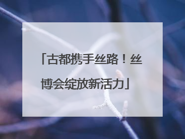 古都携手丝路！丝博会绽放新活力