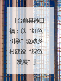 台前县孙口镇：以“红色引擎”驱动乡村建设“绿色发展”