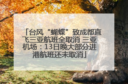 台风“蝴蝶”致成都直飞三亚航班全取消 三亚机场：13日晚大部分进港航班还未取消