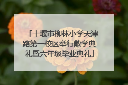 十堰市柳林小学天津路第一校区举行散学典礼暨六年级毕业典礼